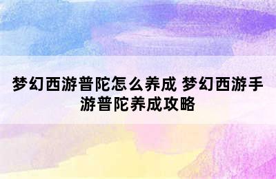 梦幻西游普陀怎么养成 梦幻西游手游普陀养成攻略